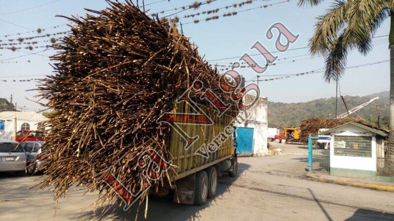Suspenden molienda en el Ingenio Central El Potrero.