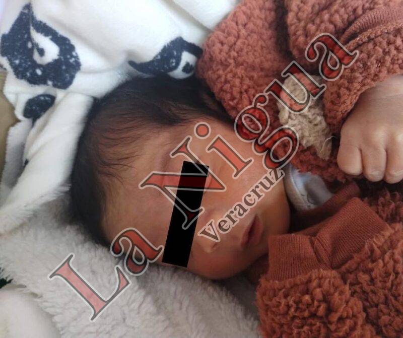 HALLAN CON VIDA AL BEBÉ RAPTADO POR SU NIÑERA