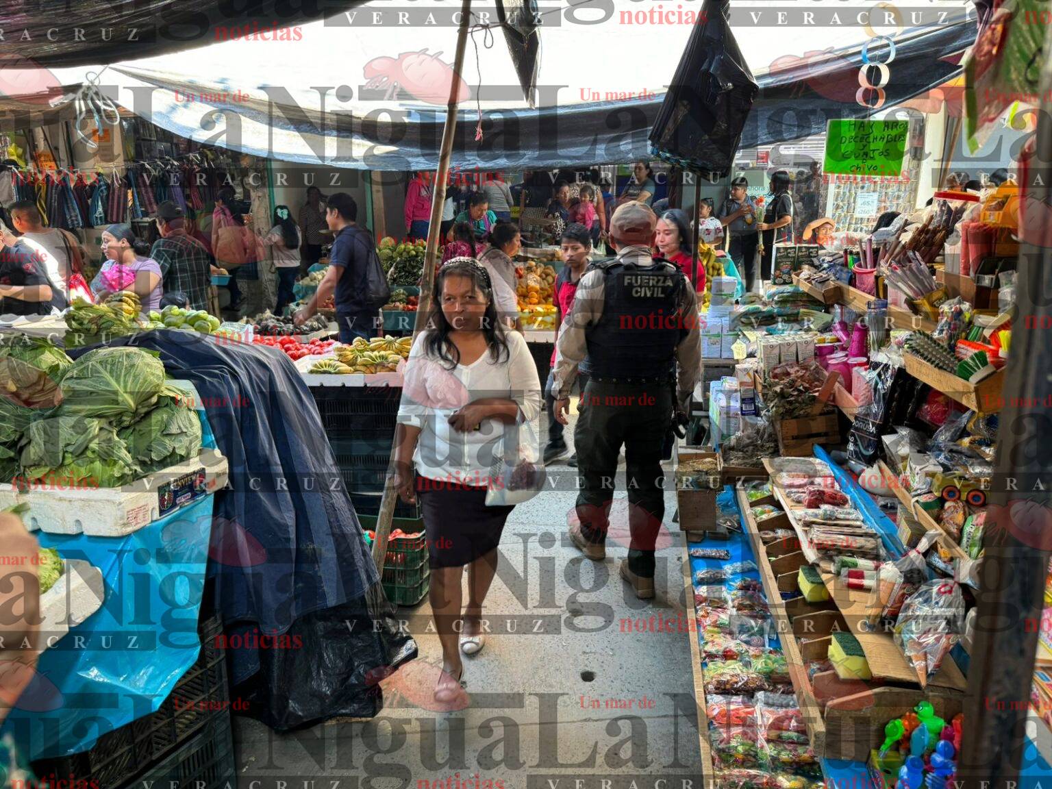 Fuerza civil activa operativo contra carteristas