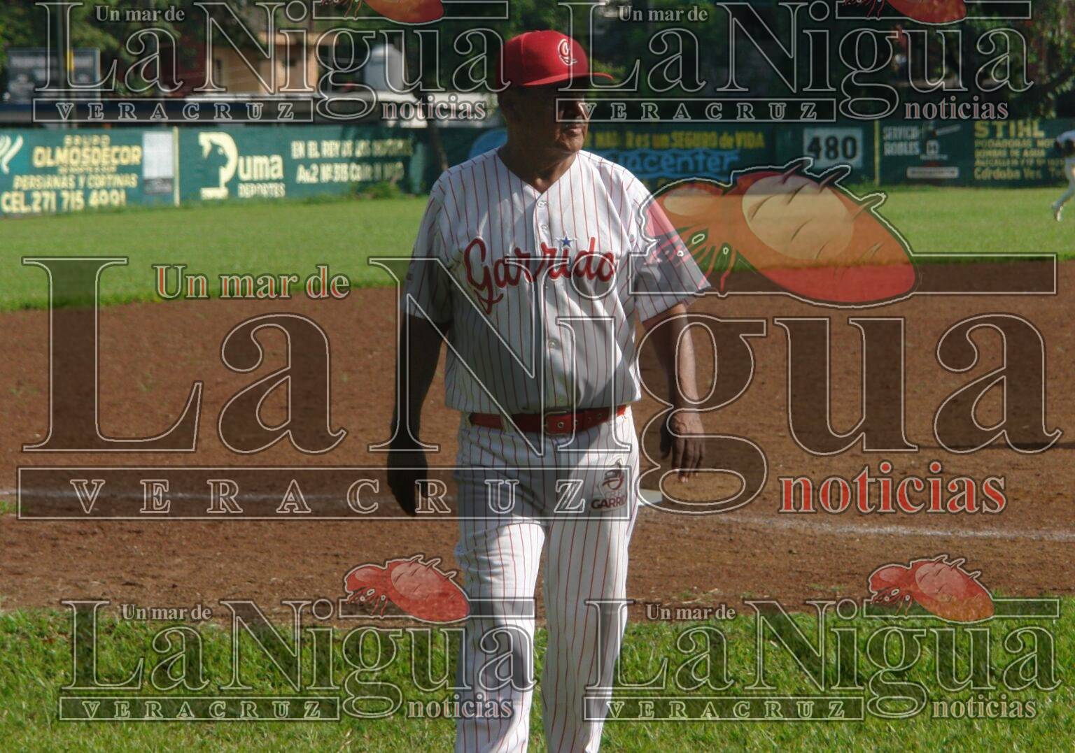 Grupo Garrido a volver al triunfo ante Rookies