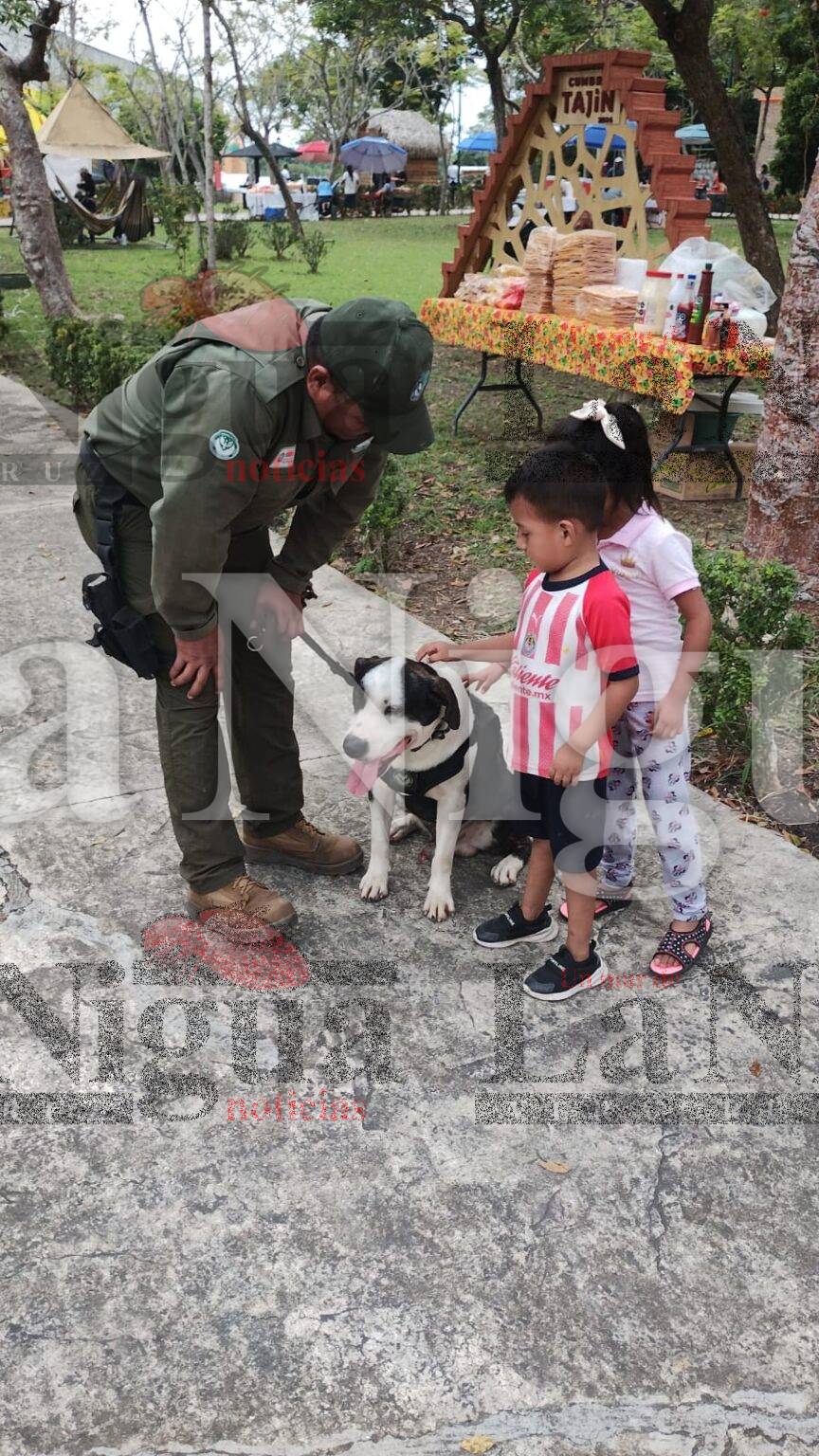 Renueva su enseñanza e imagen Cumbre Tajin 2024