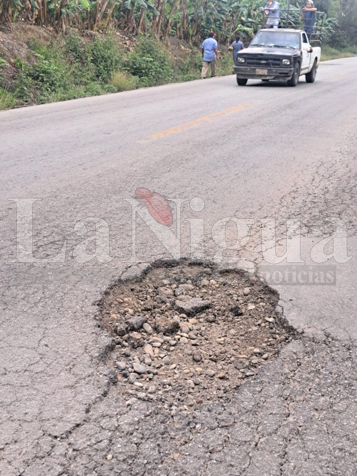 Baches, herencia de Cuitláhuac, dejan otra víctima carretera