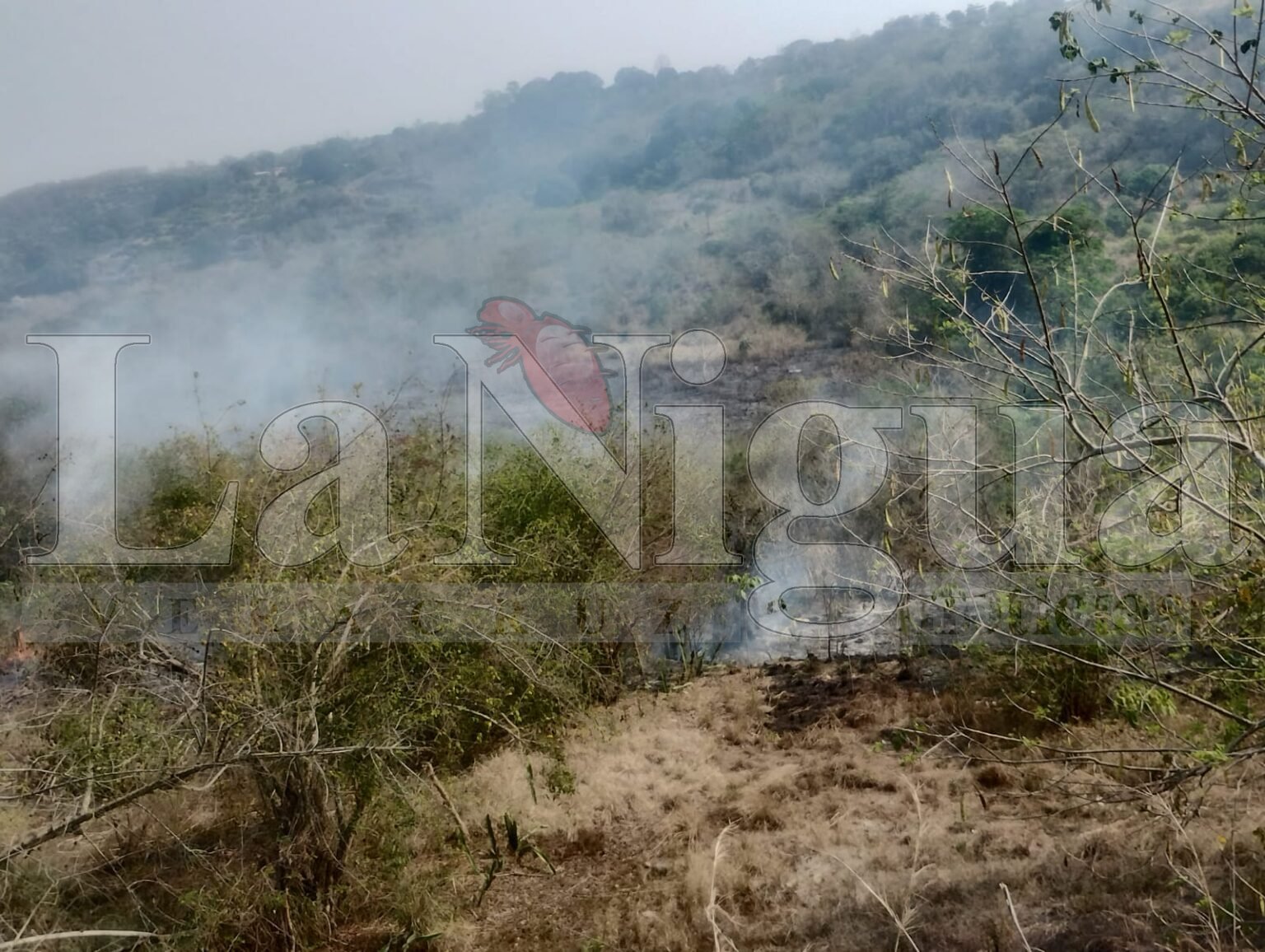 Fuerte incendio en Rancho Los Soldados en Carrillo Puerto