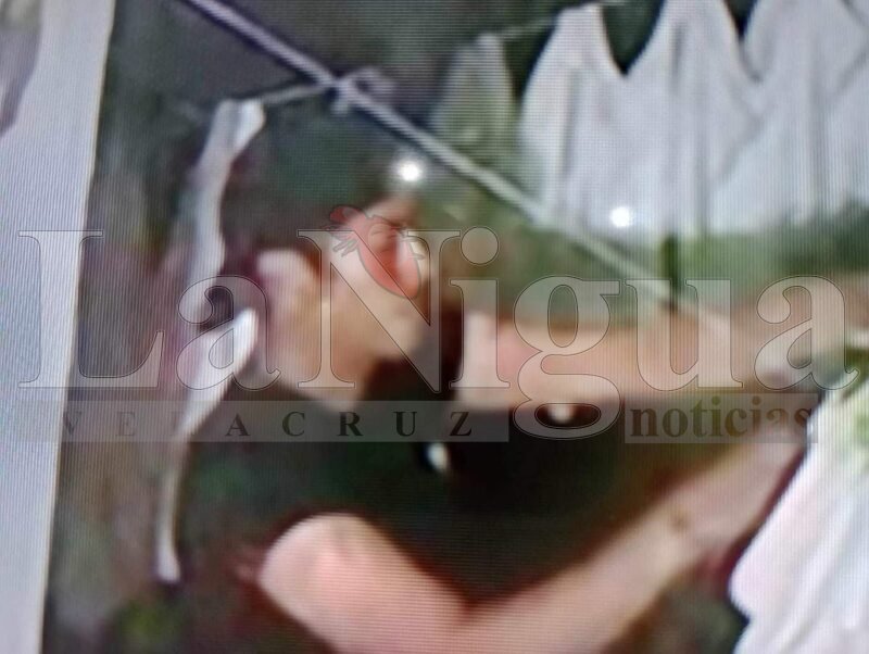 Captan cámaras de seguridad  al roba tangas