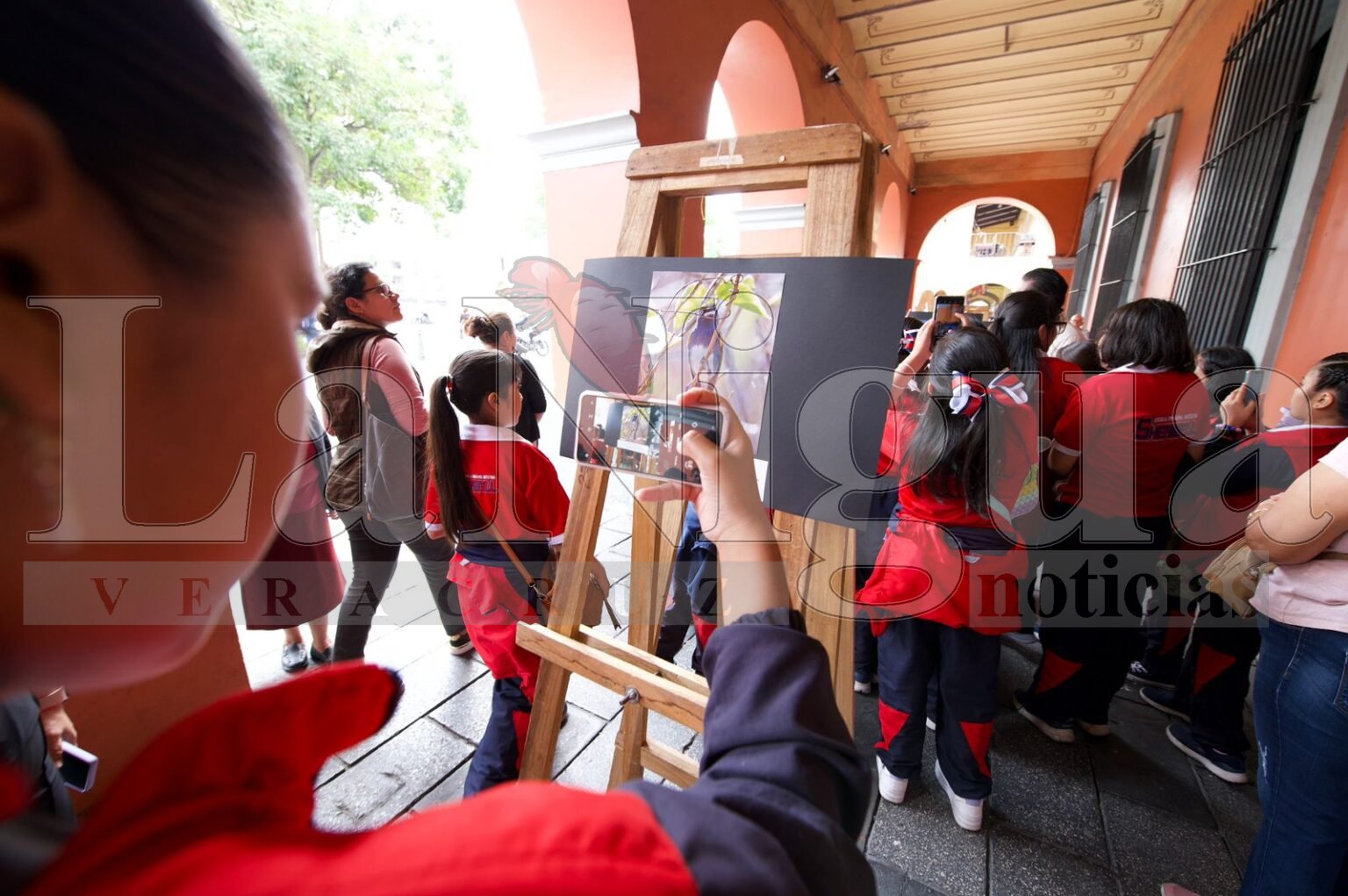 Convocan a concurso de dibujo infantil y desfile del Festival de las aves de las altas montañas