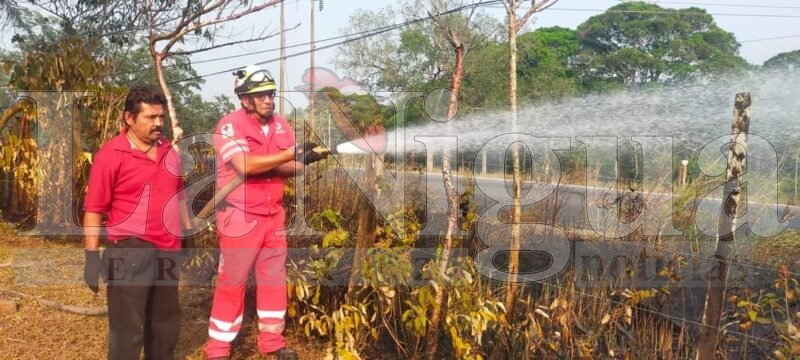 Controla Protección Civil incendios; pide a la población evitar provocarlos o arrojar objetos como botellas o vidrios