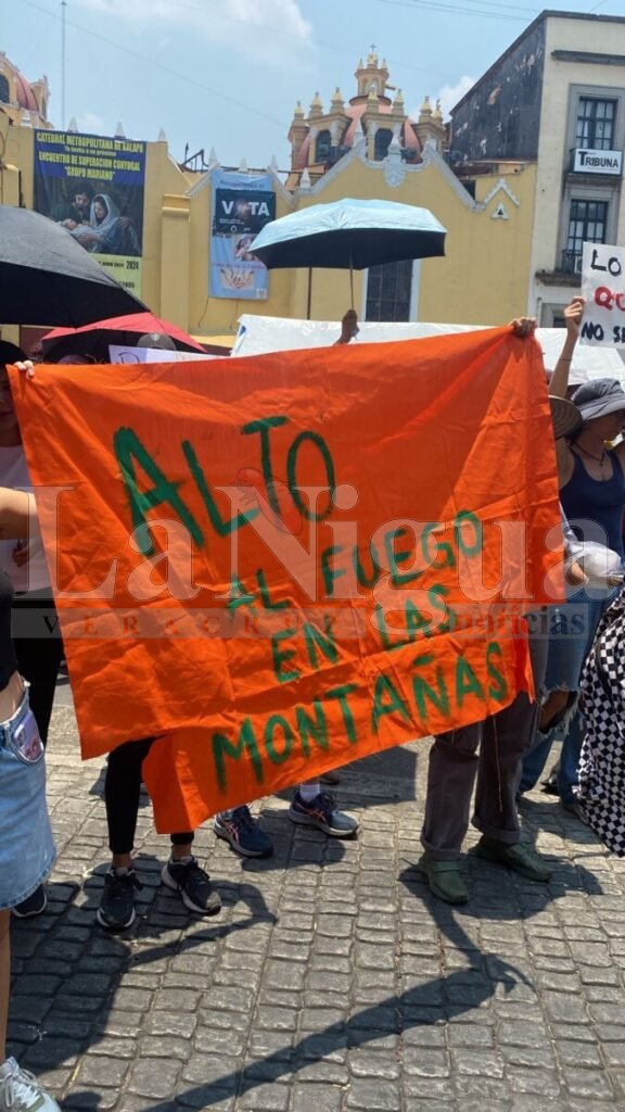 Estudiantes de la Facultad de Artes de la UV Marchan para Solicitar Apoyo en Localidades Afectadas por Incendios