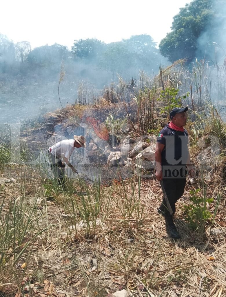 Reporte de Incendios Forestales en Veracruz: Avances y Acciones de Combate