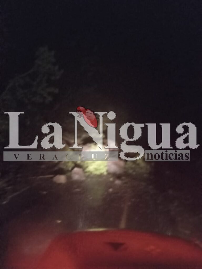 Derrumbe en Carretera Estatal Totutla-Xalapa Causa Cierre Total