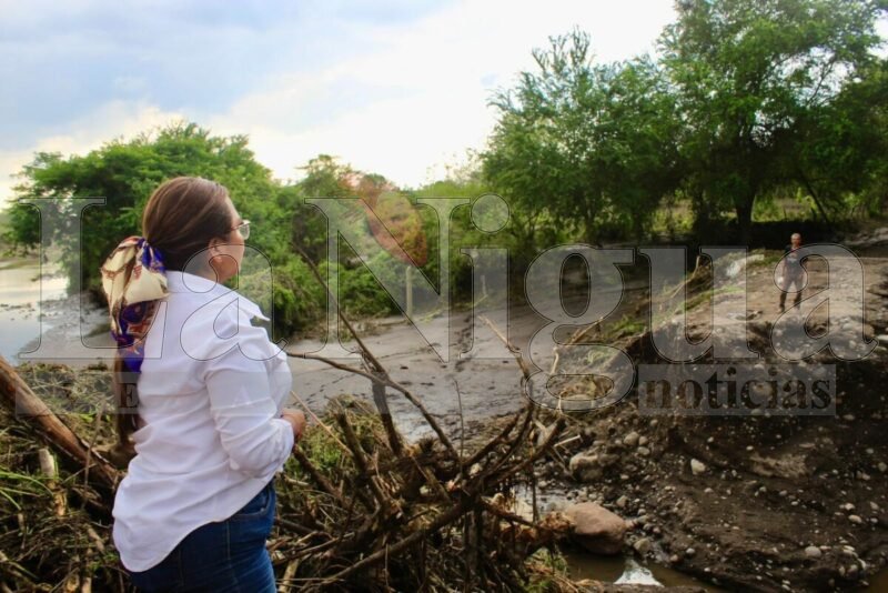 Avances en la Recuperación de Puentes en Soledad de Doblado