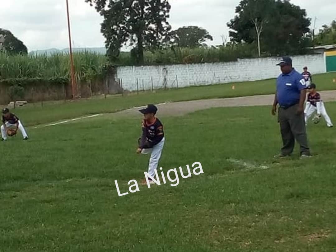 IMG 20201123 081649