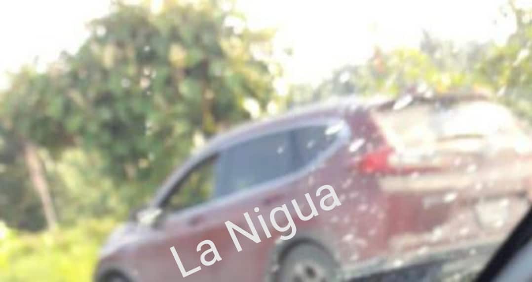 IMG 20201127 101431 1