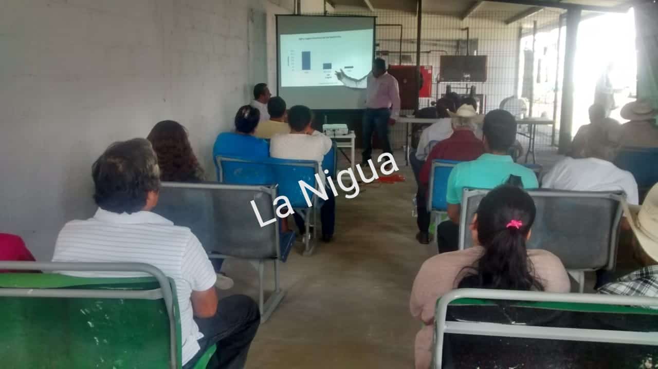 IMG 20201130 082832