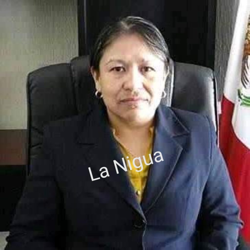 Alcaldesa de Chocamán, se ausenta para hacer proselitismo