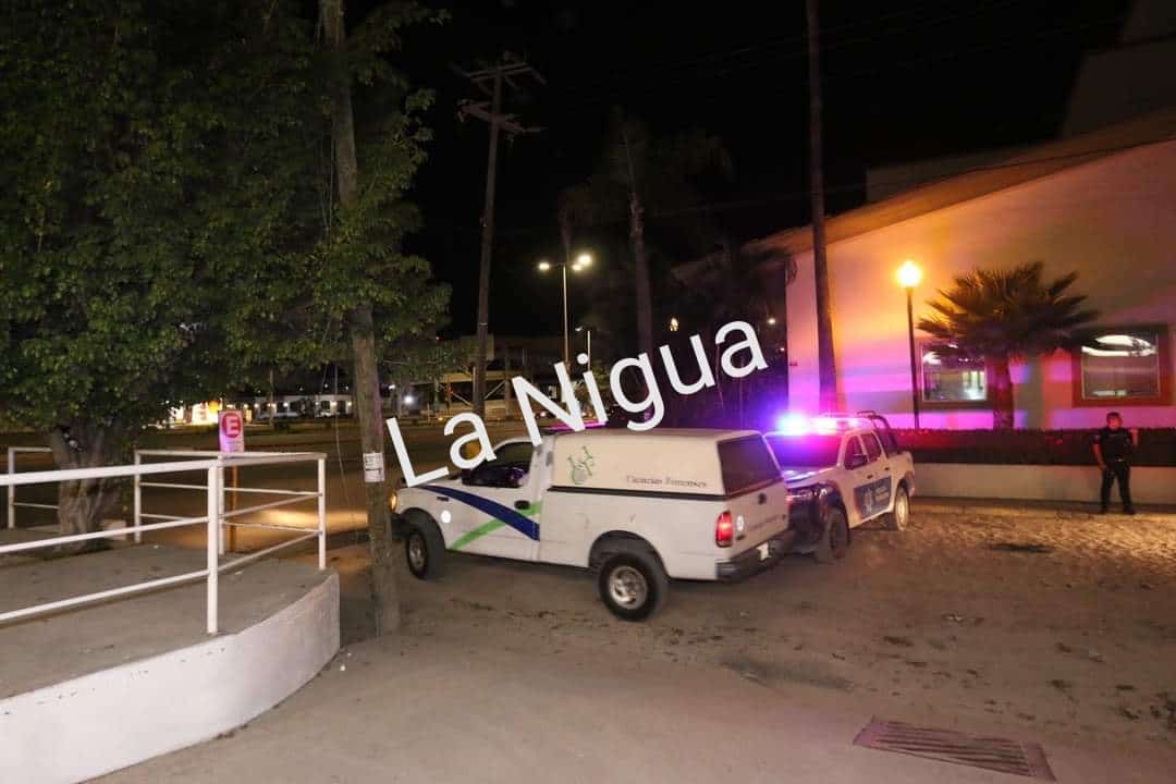 IMG 20201218 083509