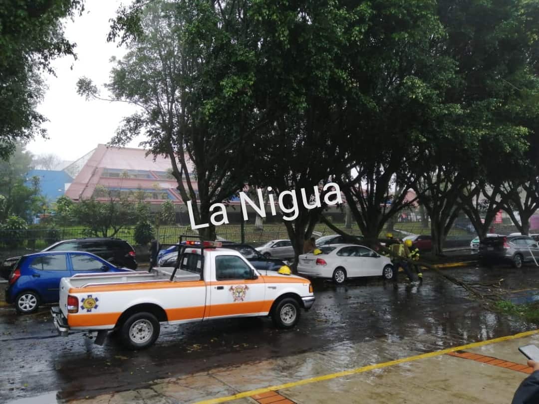 IMG 20210120 115933