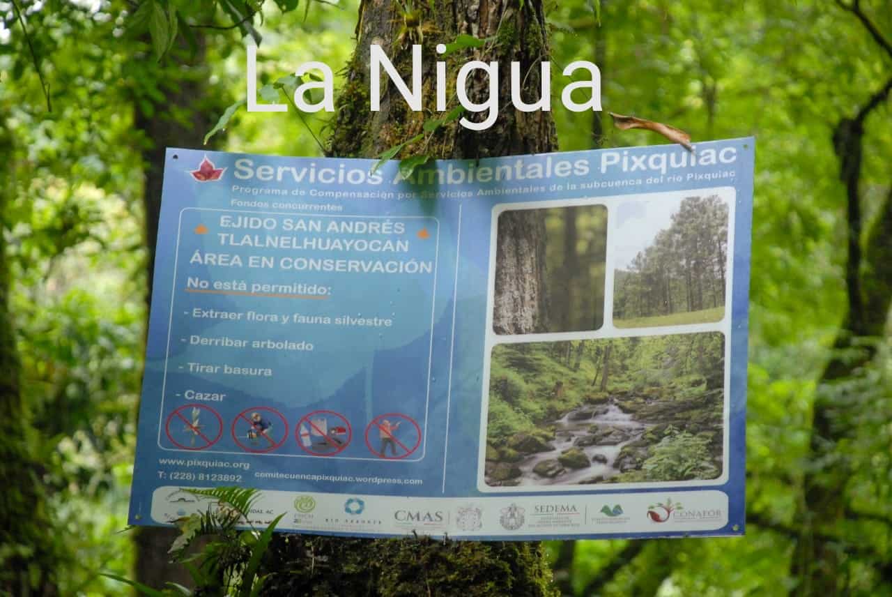 IMG 20210219 124505