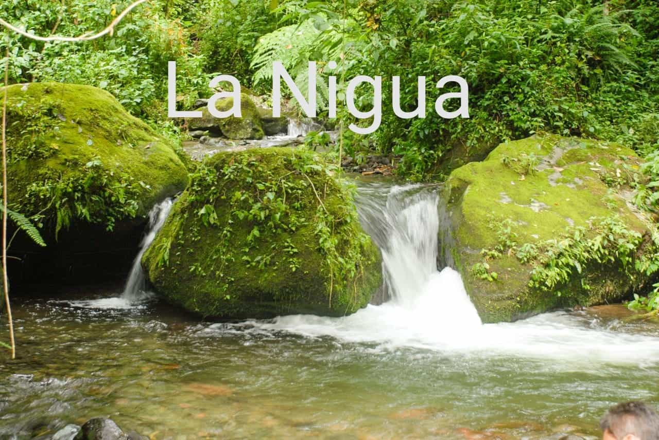 IMG 20210219 124529