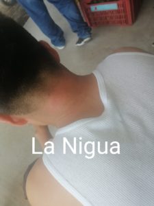 IMG 20210223 175046