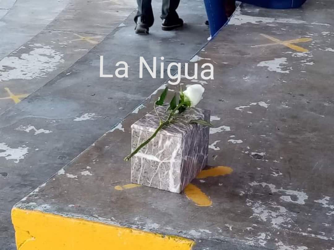 IMG 20210304 124302