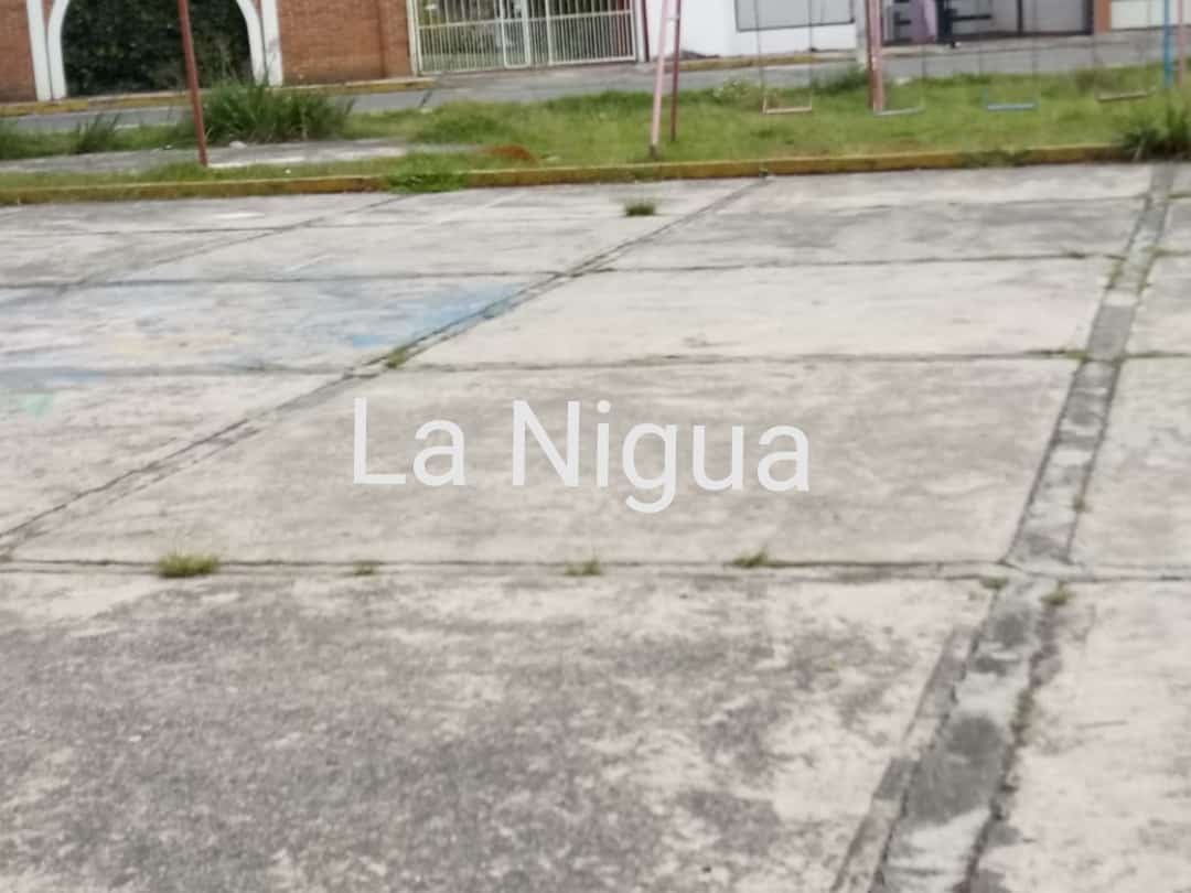 IMG 20210311 113756