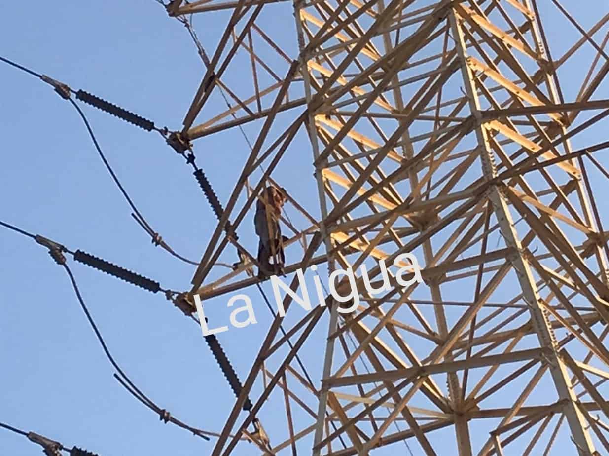 IMG 20210322 123400