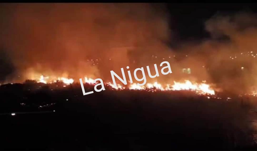 IMG 20210324 072716