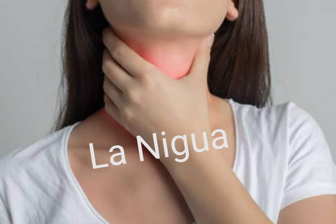 IMG 20210415 123537