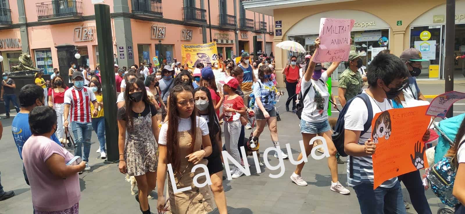 IMG 20210426 114925