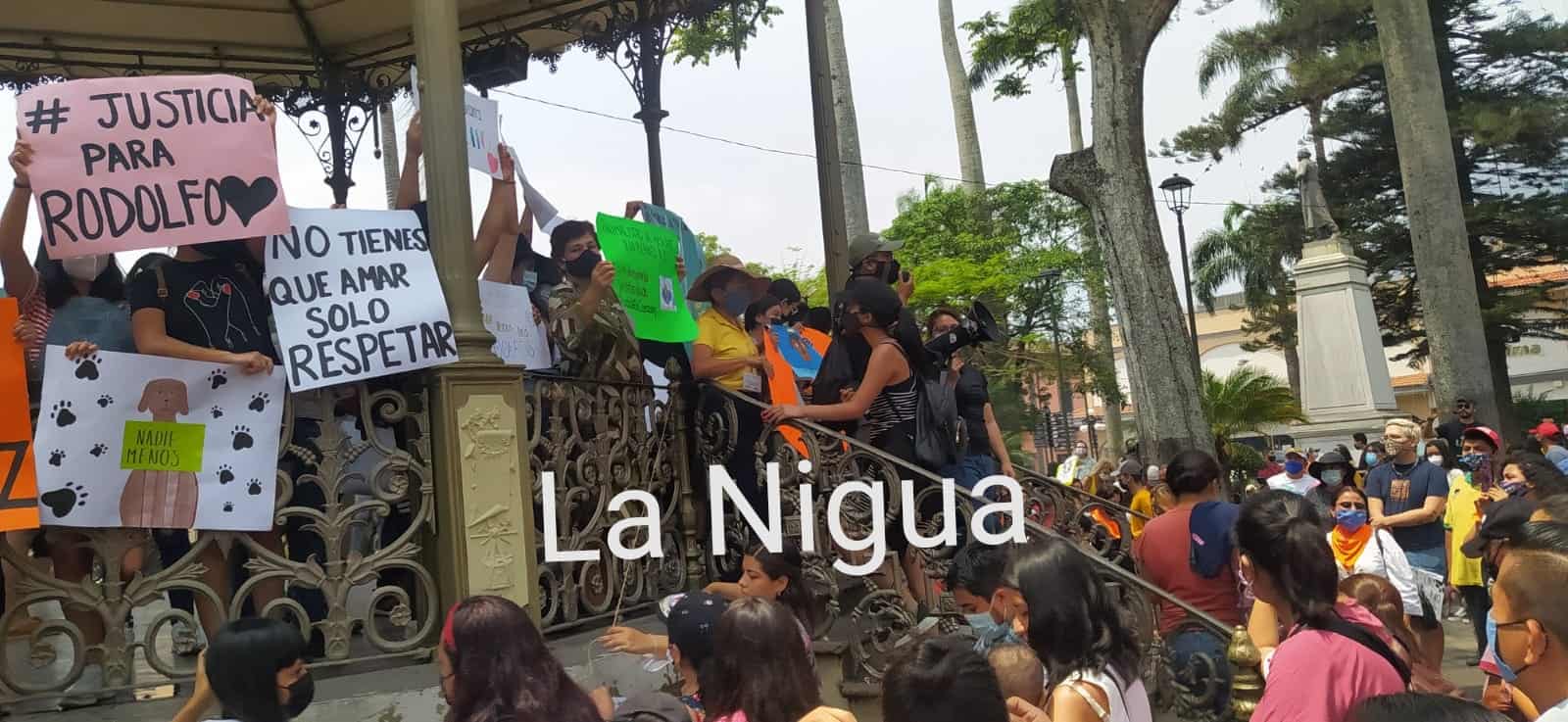 IMG 20210426 114956