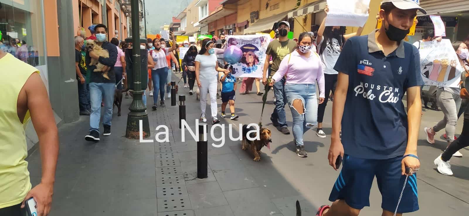 IMG 20210426 115033