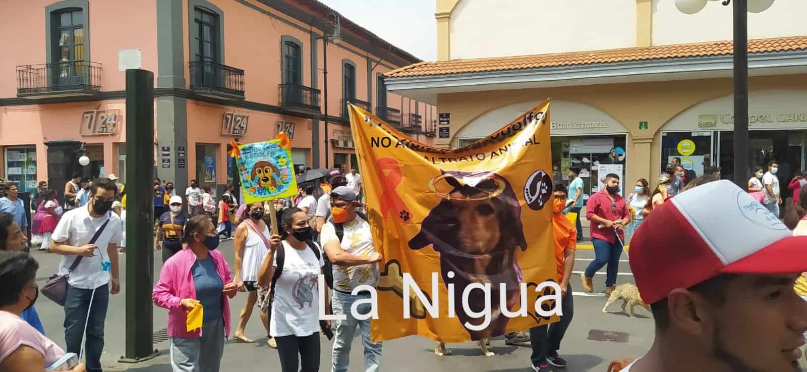 IMG 20210426 115120