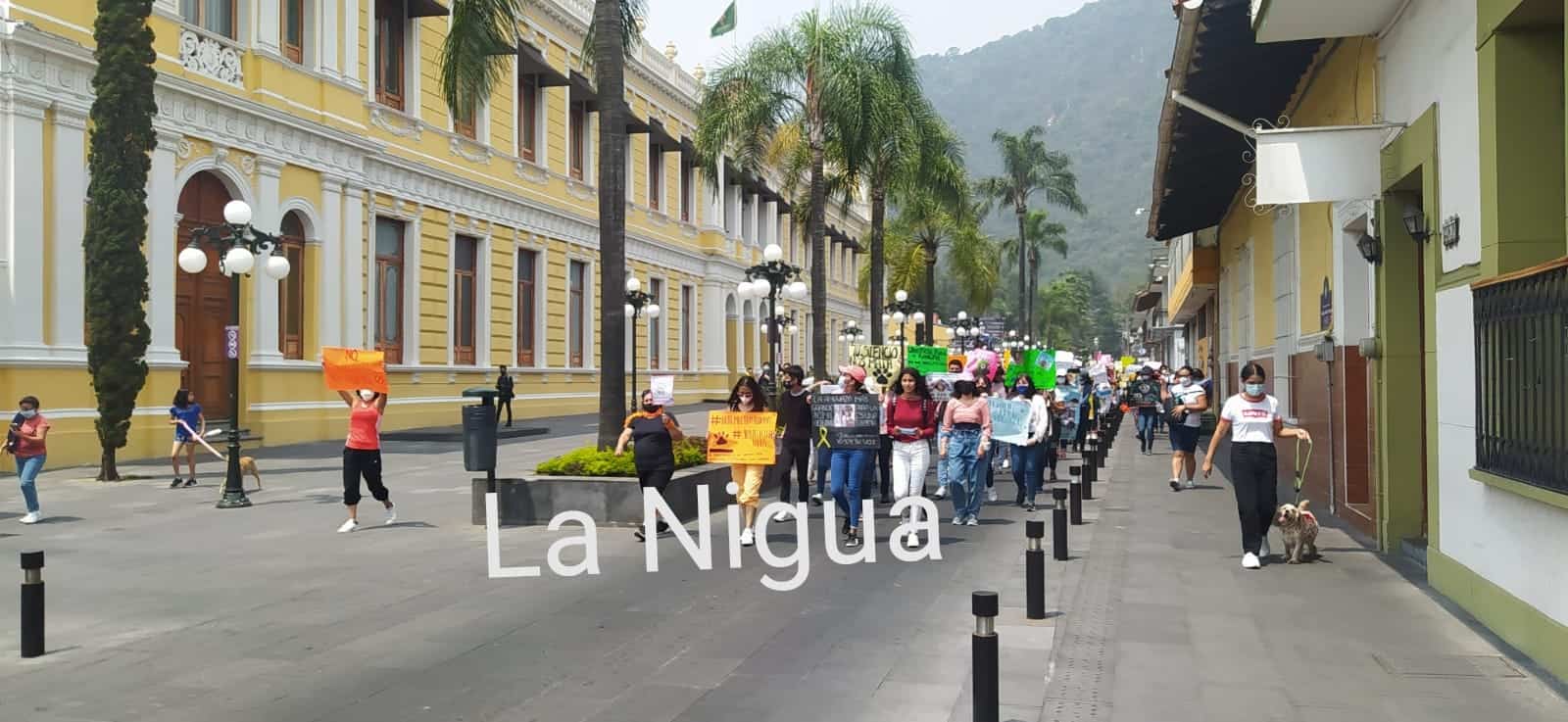 IMG 20210426 115139