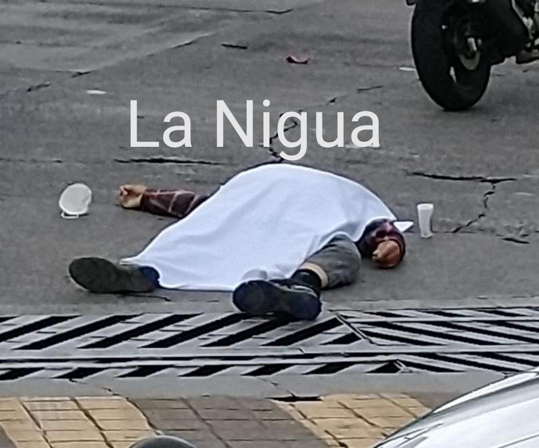 IMG 20210604 111313