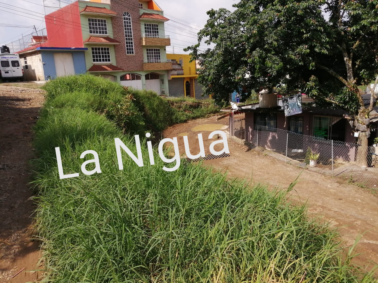 IMG 20210604 121953