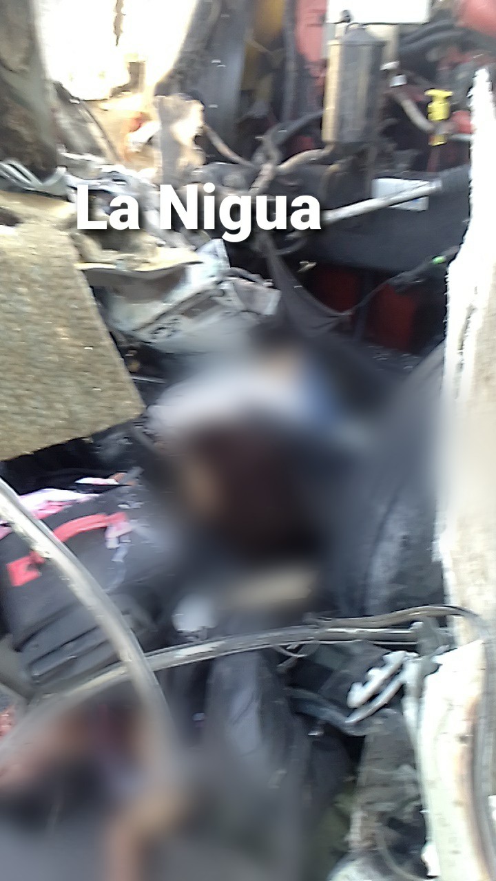 Imagen 157190