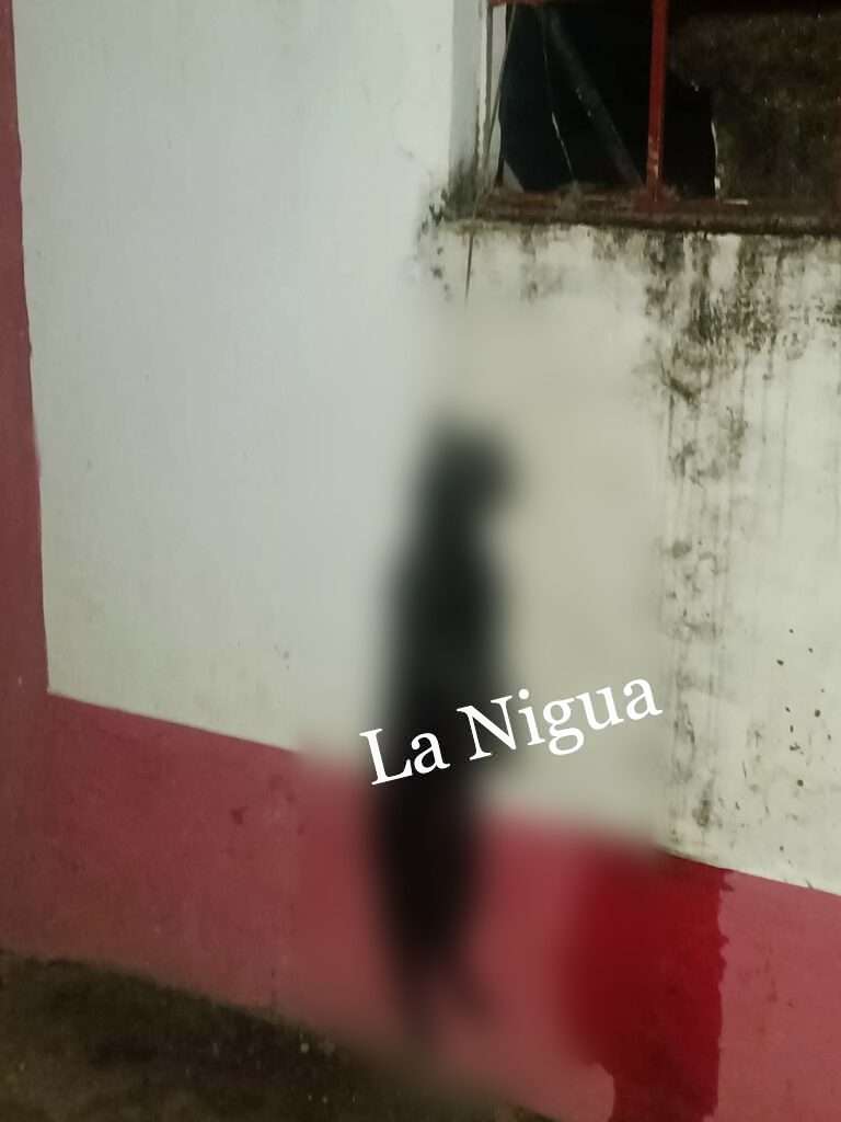 AHORCAN Y CUELGAN CUERPO DE GATO AFUERA DE UN DOMICILIO