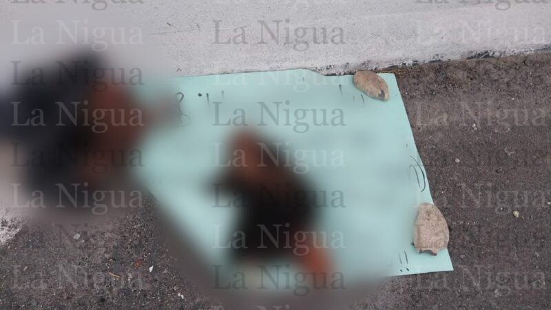 Dejan tirada cabeza en Victoria y un cuerpo mutilado en El Barretal