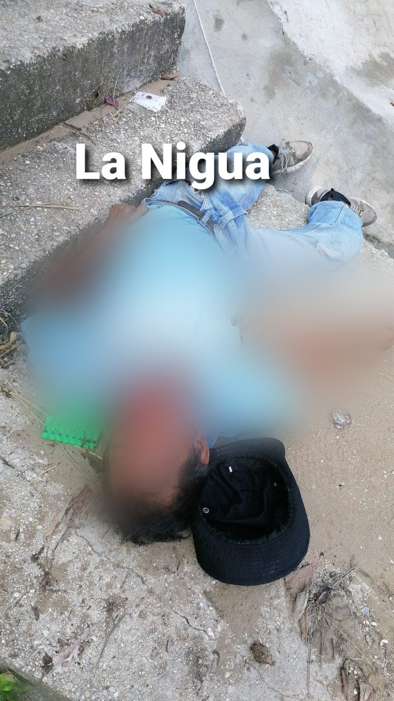 Imagen 950171