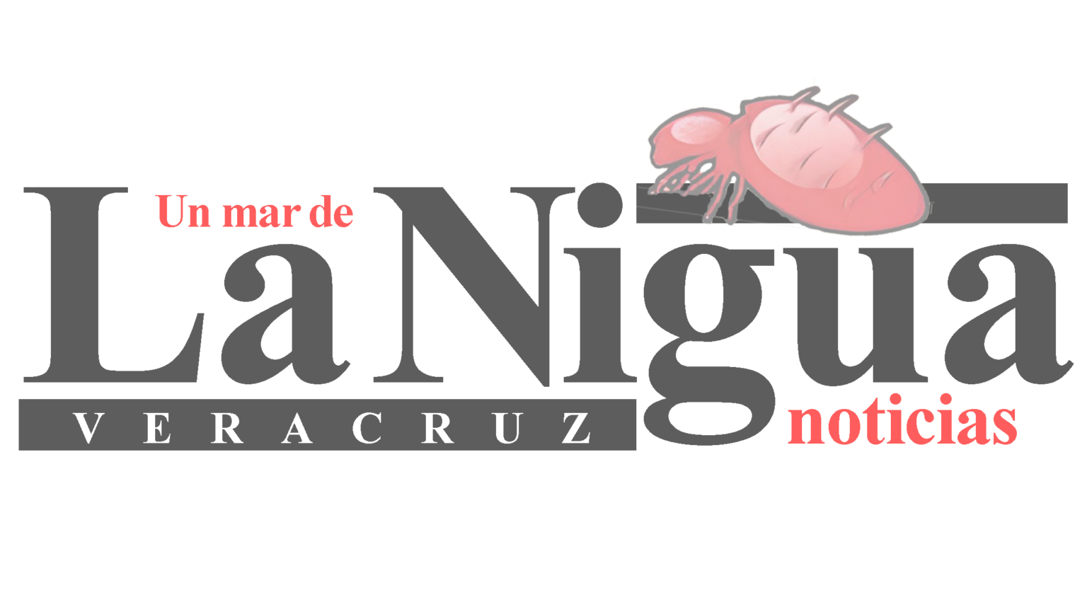 Exhorta CEAPP al gremio periodístico a colaborar y mantener un clima de paz y orden social