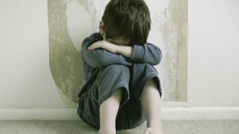 Dejan encerrados y sin comida a dos menores; intentaron cocinar a su gatito muerto