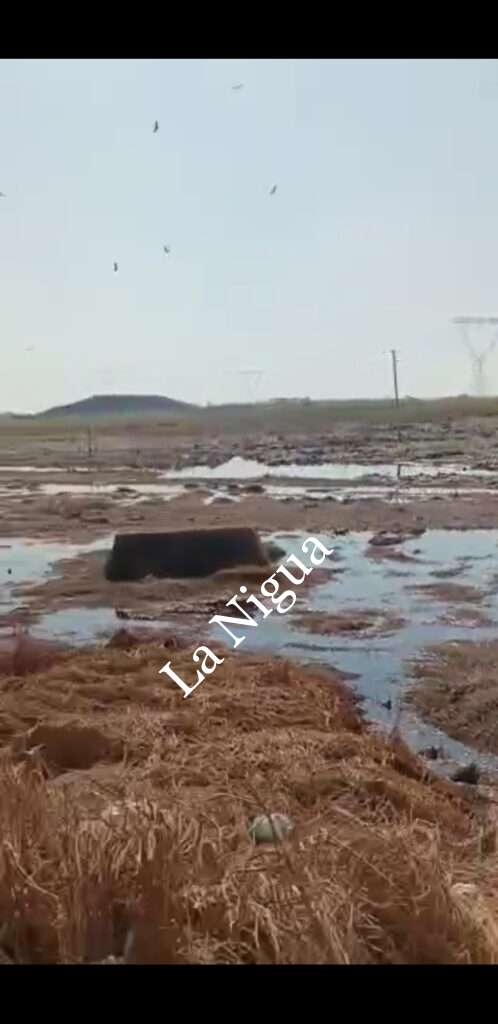 Continúan afectaciones por derrame de amoniaco en Minatitlán.