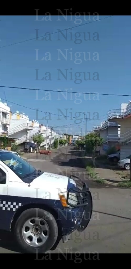 Saquean viviendas en Colinas de San José