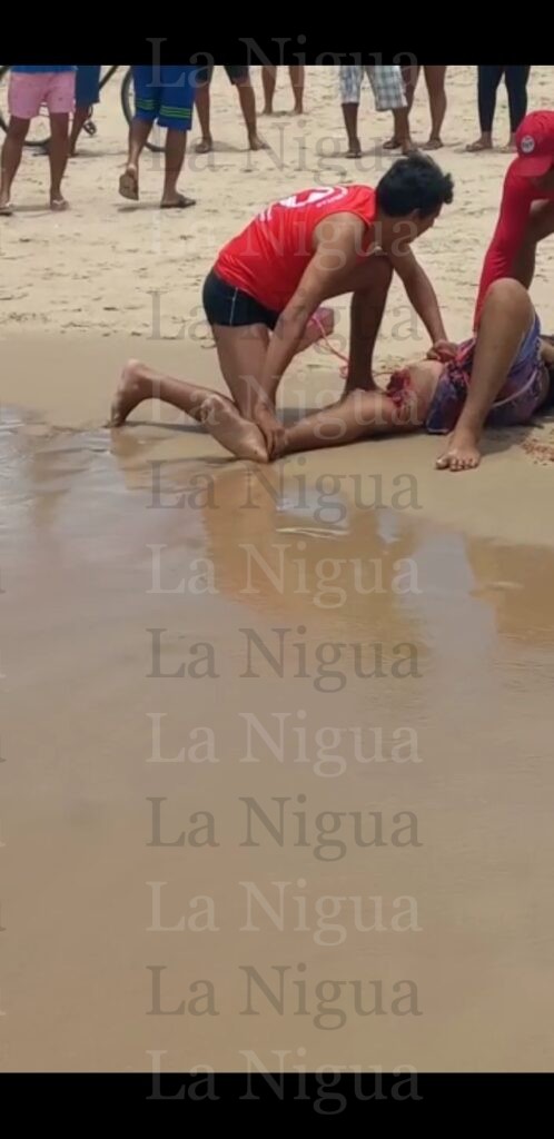 Vídeo: Tiburón ataca bañista en Brasil