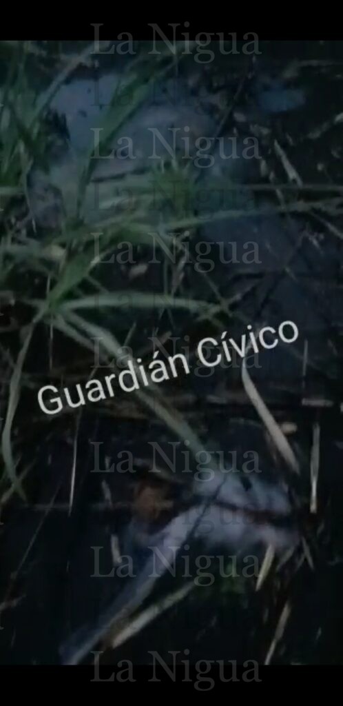 Por riego a cañales cae poca agua en Mata de Varas