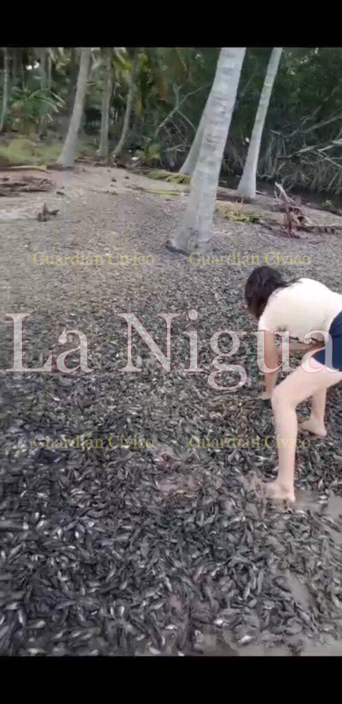 Pesca “Milagrosa” en Tabasco