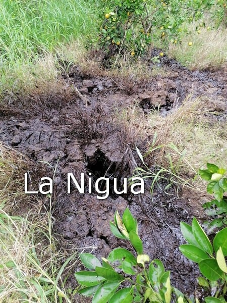 Siguen sin control las fugas de hidrocarburos en Papantla por parte de PEMEX