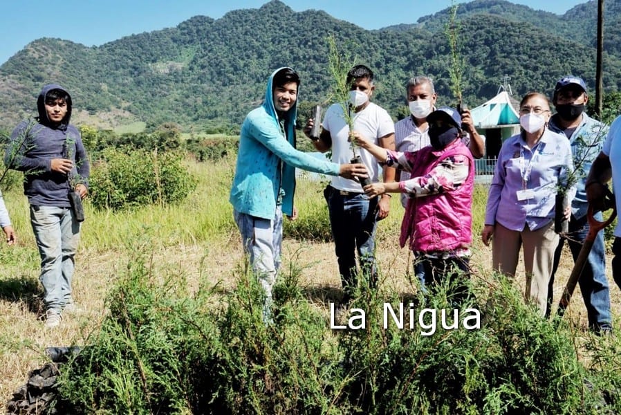 Vecinos y Ayuntamiento de Córdoba combaten erosión de suelo plantando árboles