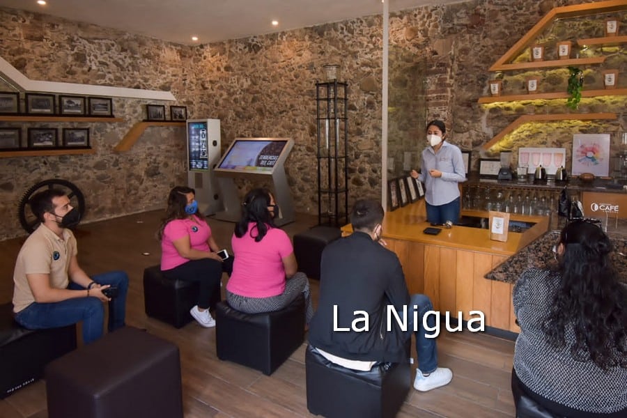 Museo del Café de Córdoba invita a taller Aprendiendo a hacer tu café