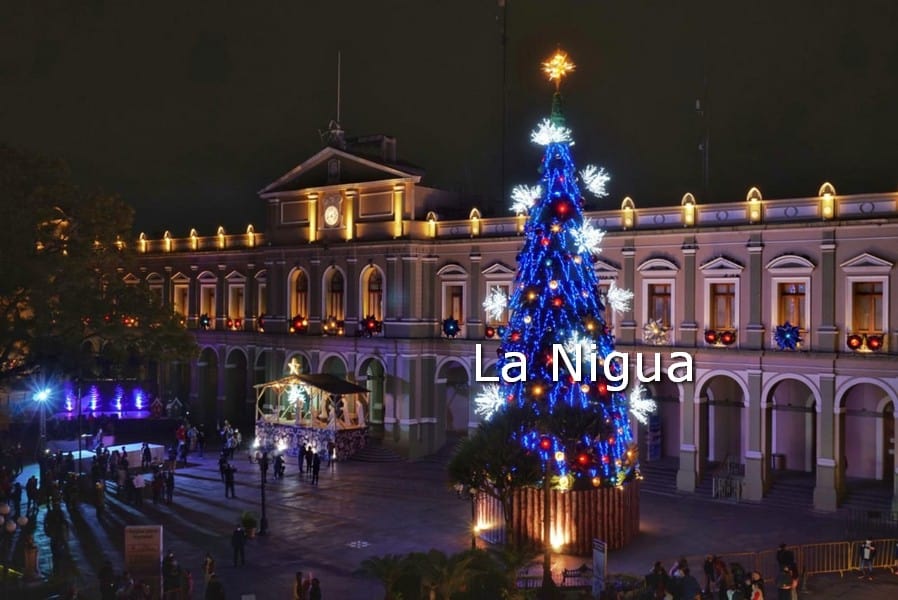 Encienden el tradicional pino de navidad en Córdoba